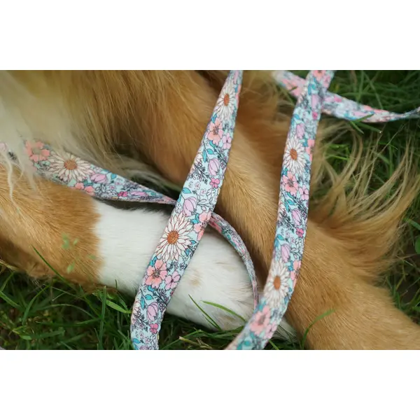 Laisse pour chien en sangle imprimée - Motif Fleurs style liberty