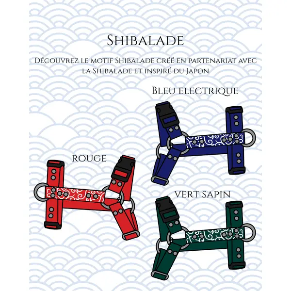 Harnais Biothane® Shibalade