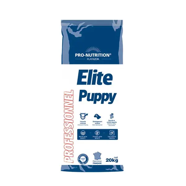 Puppy