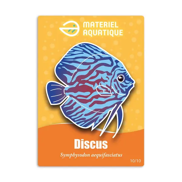 Magnet à collectionner – 10 Discus