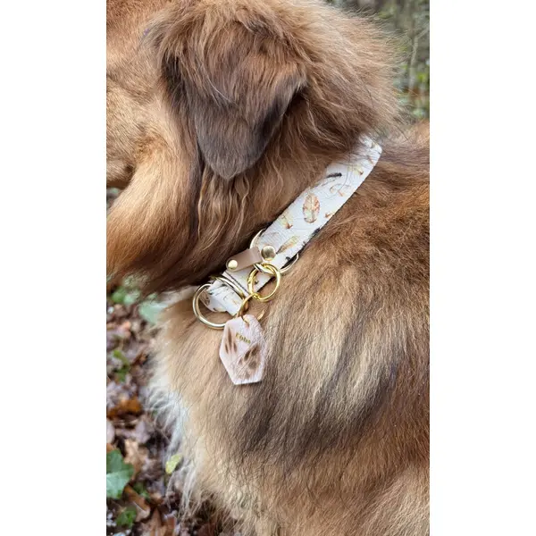 Collier pour chien en sangle imprimée - Motif Amérindien marron / plumes