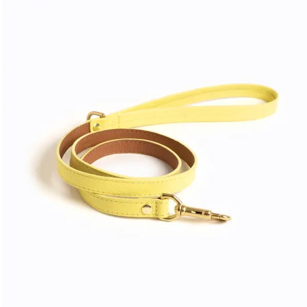 Mellow Leash