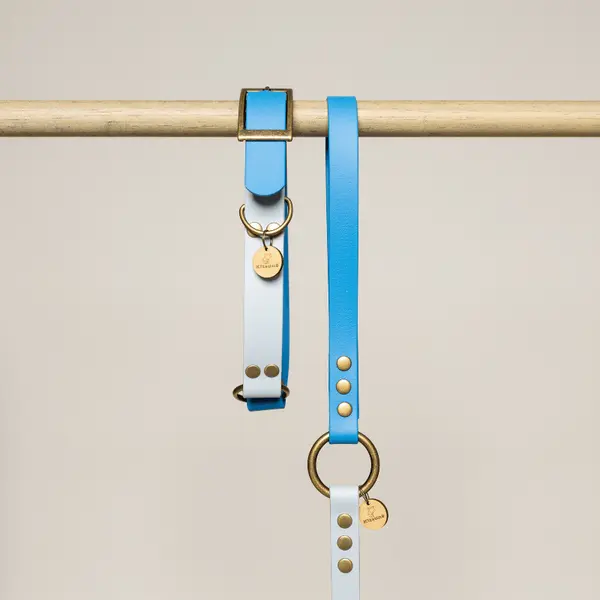 Collier biothane bi-color BLEU AZUR/CIEL