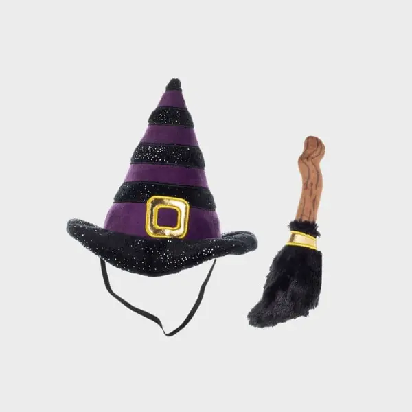 COSTUME HALLOWEEN POUR CHIEN - SORCIÈRE 🧹