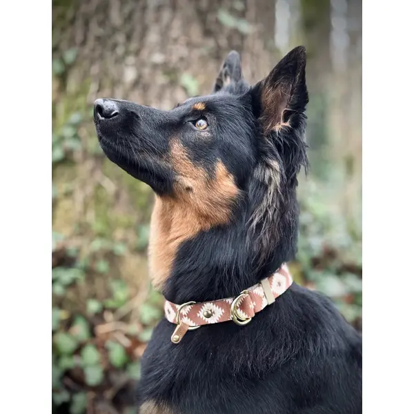 Collier pour chien en sangle imprimée - Motif Amérindien marron / plumes
