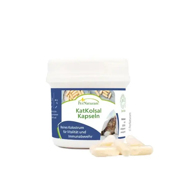 KatKolsal – 50 gélules anti-stress