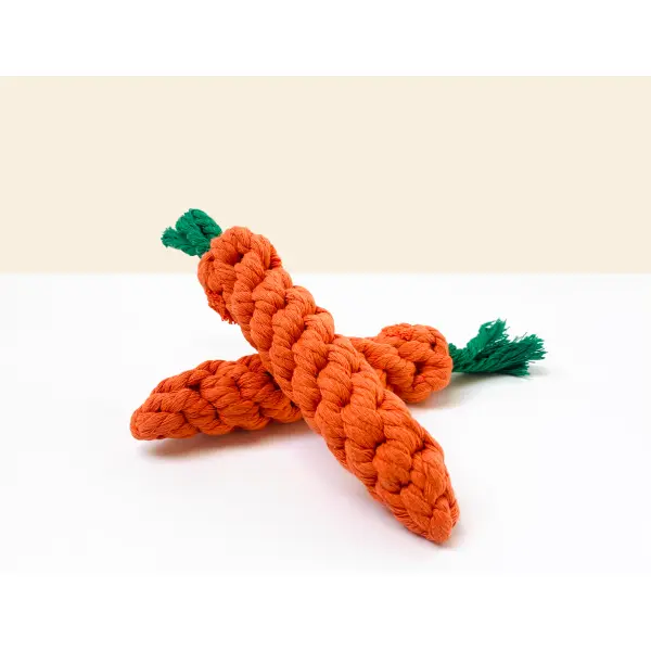 Carotte en Cordes pour Chien et Chat