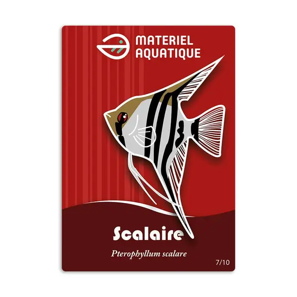 Magnet à collectionner – 07 Scalaire