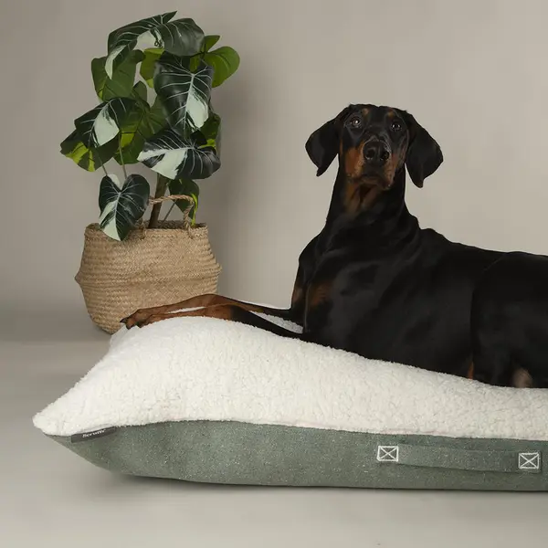Scruffs Couchage Chien Coussin Eco Eden Vert - Taille L 100 x 70 cm