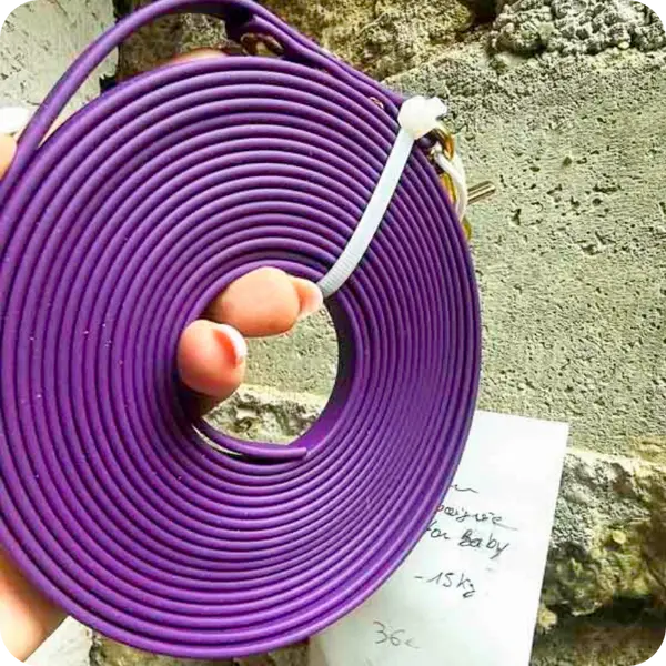 Longe – violet – 5m – mousqueton baby