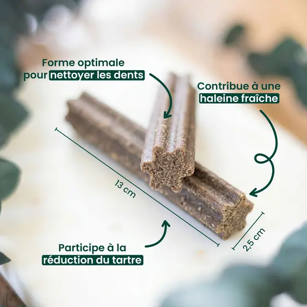 16 bâtonnets à mâcher pour chien de +25kg