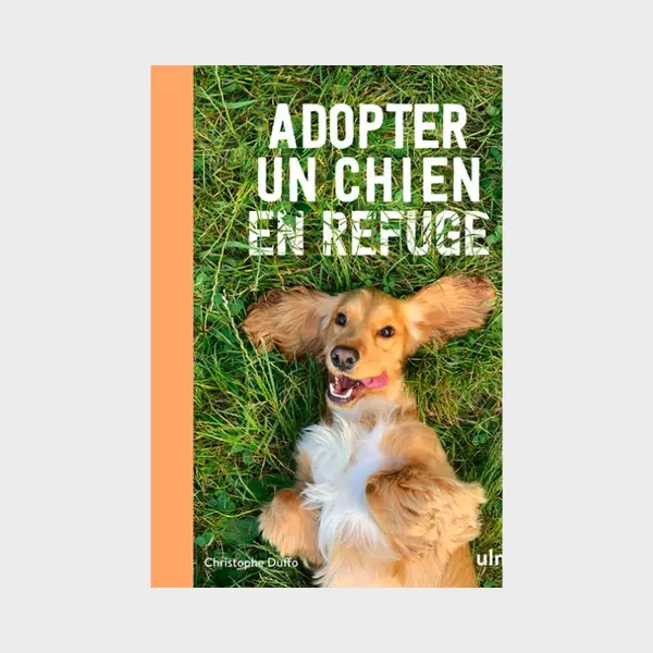 ADOPTER UN CHIEN EN REFUGE PAR CHRISTOPHE DUFFO