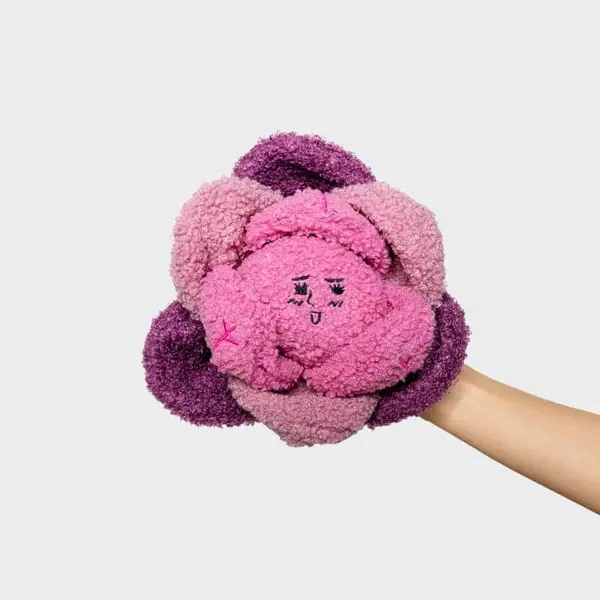 JEU D’OCCUPATION ET DE FOUILLE POUR CHIEN - CHOU
