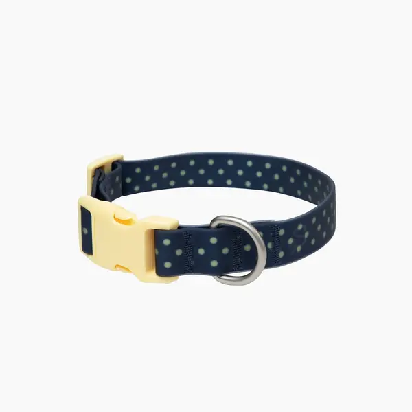 Collier Waterproof Marine à pois Springland Pets