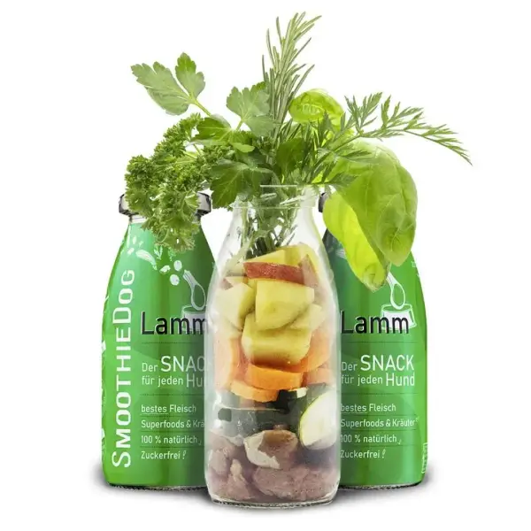 Smoothie à l’agneau – Smoothie pour chien