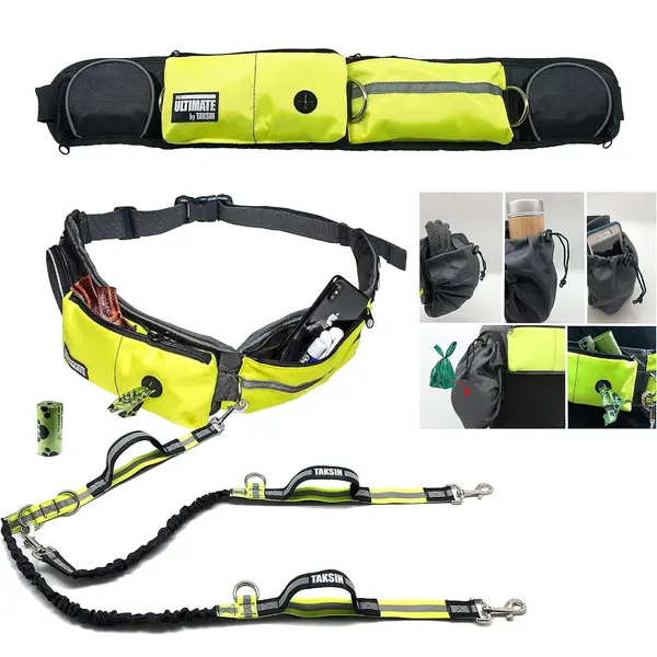 Hands Free Dog Leash Two Dogs Double Bungee Reflective Running Kit