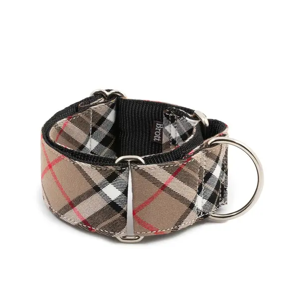 Collier martingale lévrier Isona – Chic & sécurisé