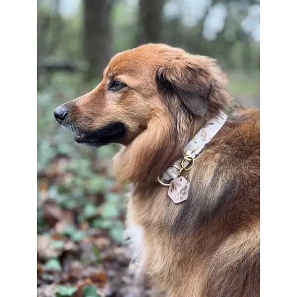 Collier pour chien en sangle imprimée - Motif Amérindien marron / plumes