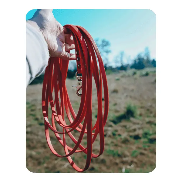 Longe 10 mm