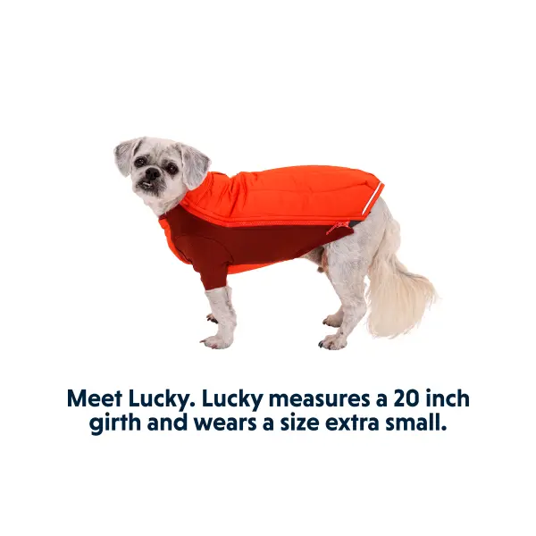 Veste Powder Hound™
