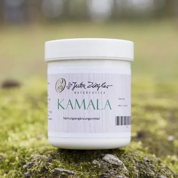 Kamala vermifuge 80g