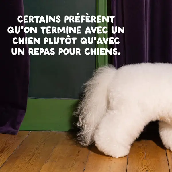 Edgard & Cooper Croquettes Chien Adulte Agneau Sans Céréales - 7 kg