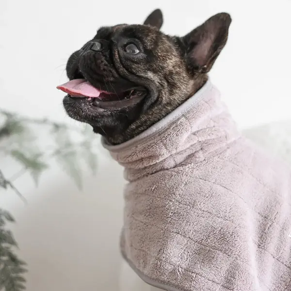 Peignoir de bain pour chiens