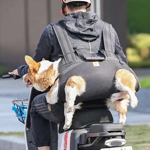 Sac a dos transport chien