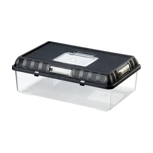 REPTO BOX