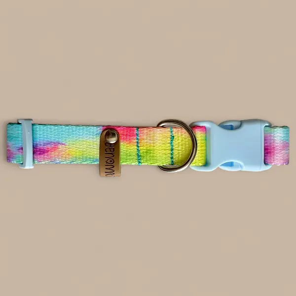 Collier pour chien en sangle imprimée - Motif Multicolore