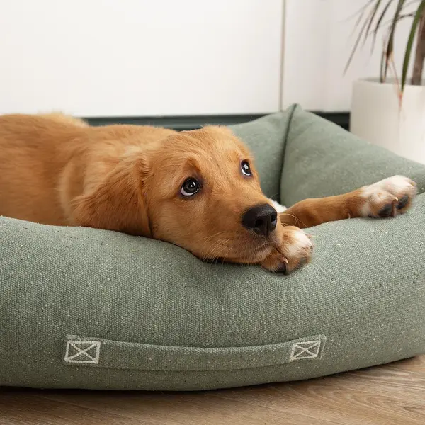 Scruffs Couchage Chien Corbeille Eco Eden Vert - Taille M 60 x 50 cm