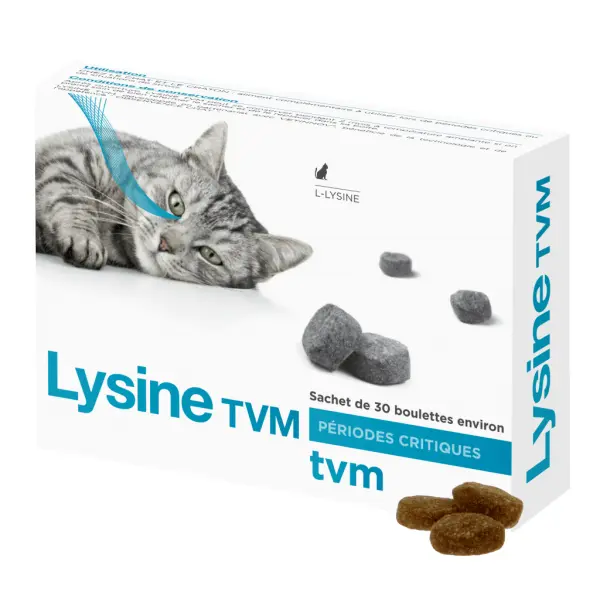 TVM Lysine Plus complément herpèsvirus félin – Chat