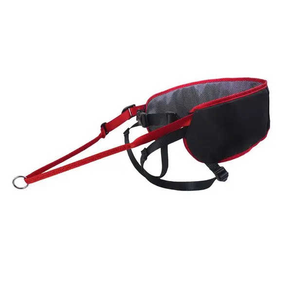 Éducation Chien - Kyflie Baudrier Ludus Performance Taille 1 Noir et rouge - 70 / 95 cm