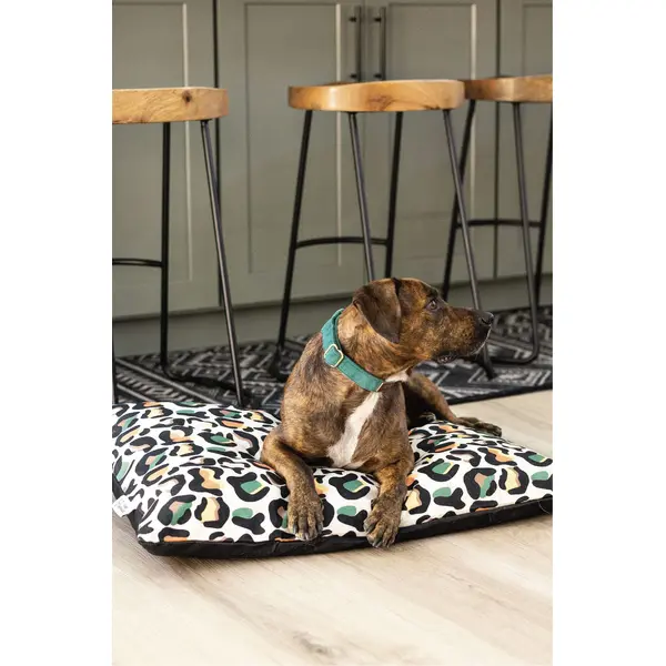 Beckett Dog Bed