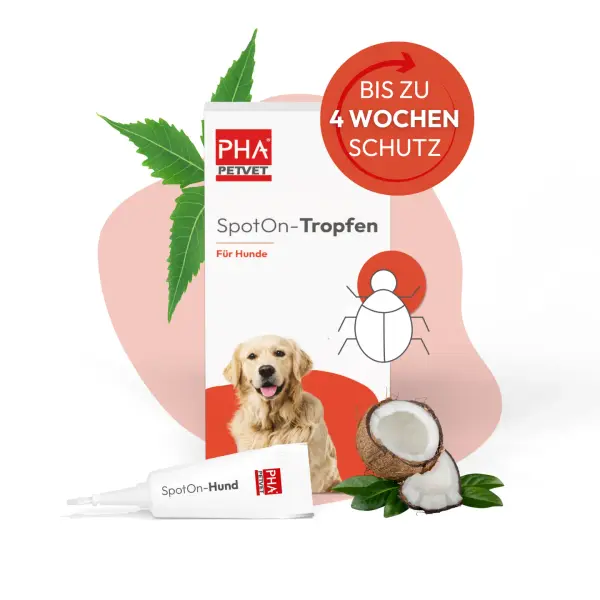 PHA SpotOn gouttes antiparasitaires pour chiens 2 x 2 ml – Soins naturels pour chiens