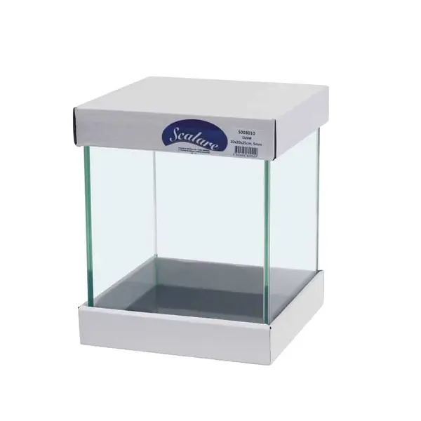 Scalare aquarium 10L – 20 x 20 x 25 cm