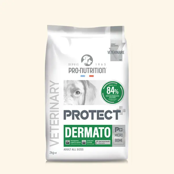 Dermato - Croquettes chien avec troubles dermatologiques