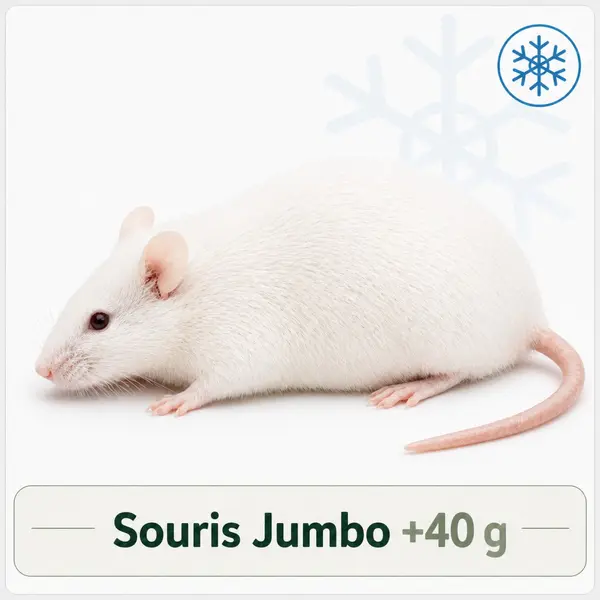 Souris Jumbo +40g