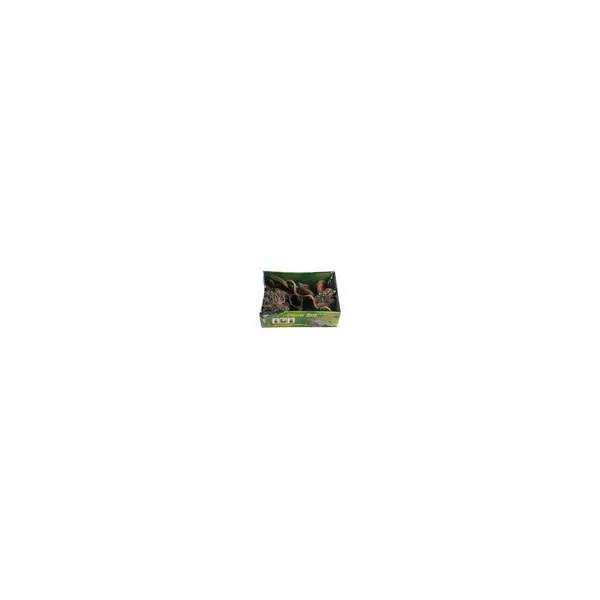 Life Experience Deco Set Jungle