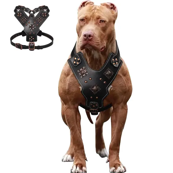 Harnais en cuir véritable pour chien
