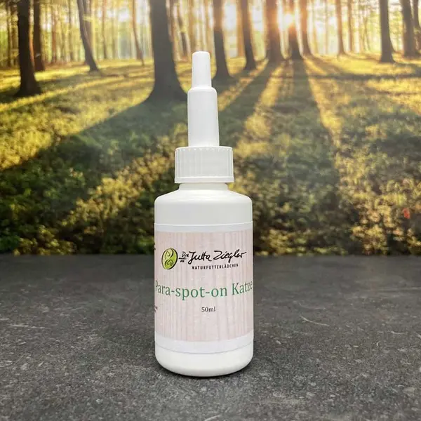 Anti-insecte pour chats 50ml
